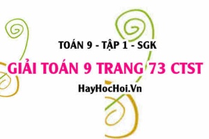 Giải Toán 9 trang 73 tập 1 Chân trời sáng tạo SGK